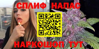 сатива Обь